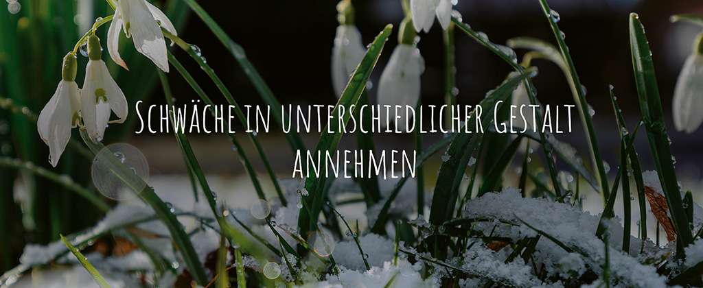Schwäche in unterschiedlicher Gestalt annehmen